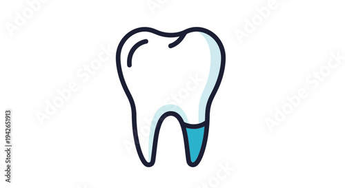 Tooth Dental Health Structure.