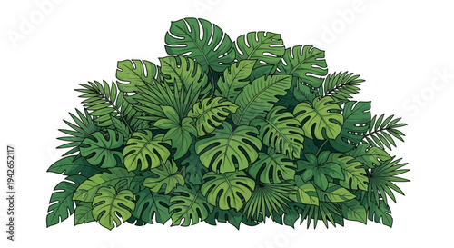 Tropical Green Leafy Foliage.