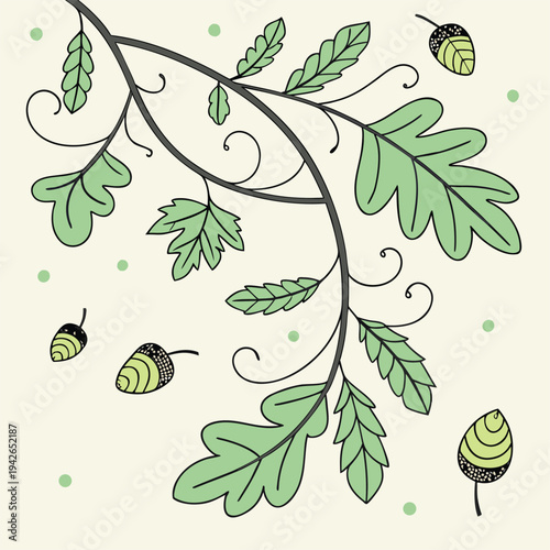 Vector illustration of oak leaves and acorns