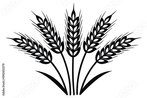 Black Wheat Stalks Isolated Harvest Grain on White Background Pattern