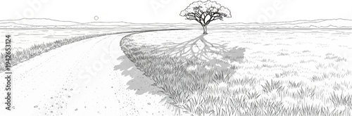 A lone tree casts a long shadow over a grassy savanna and dirt road