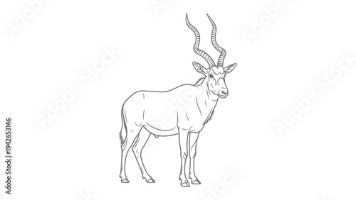 Elegant Addax Portrait: A refined monochrome sketch of an addax antelope, its iconic, spiraling horns reaching skyward, captured in a moment of poised stillness.