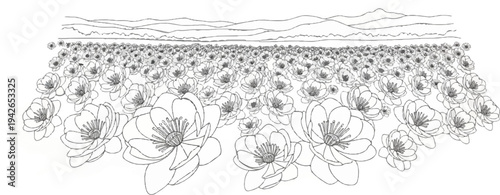 A vast field of stylized, open-faced flowers stretching towards distant, undulating hills