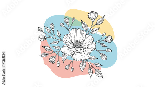 An elegant bouquet of hand-drawn poppy flowers and buds with detailed line art, set against a background of soft, abstract pastel color shapes.