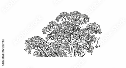 Detailed black and white sketch of a large, leafy tree with visible branches