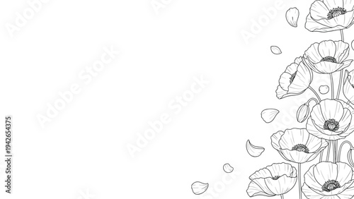 A beautiful floral background border made of hand-drawn poppy flowers and falling petals in a delicate black and white outline sketch style.
