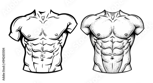 Detailed illustration of sculpted male abdominal muscles, showcasing six-pack abs in a line drawing with shading