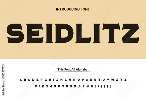 Luxury lowercase display font typeface to make your brand looks premium. Vector Fonts. Alphabet of sans serif font with modern typography. bold and tall vector font.