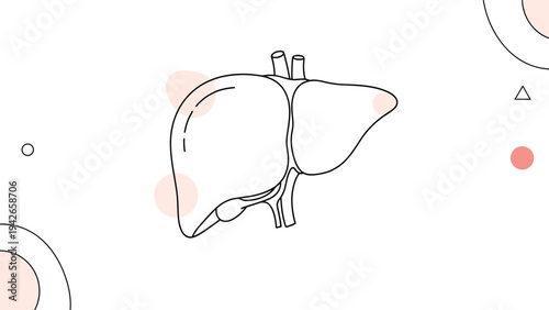 Simple line art illustration of a human liver and gallbladder presented with soft pink abstract circles in the background.