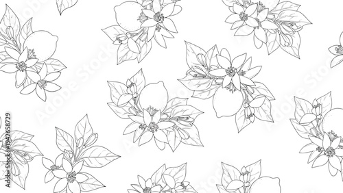 Delicate seamless pattern showing lemon fruit and flowers in a detailed black and white line art style for a natural look.