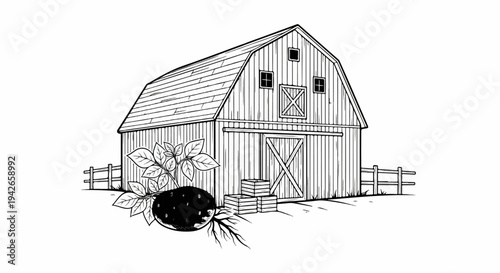 A sketch of a barn with a potato plant and crates