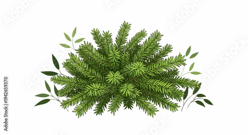 Detailed illustration of a dense, green pine branch with smaller leafy branches
