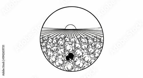 Circular illustration of a cotton field at sunrise with textured stalks and bolls