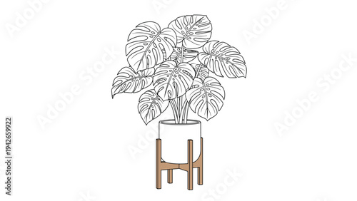 Beautiful line art sketch of a monstera plant in a ceramic pot resting on a wooden stand, ideal for minimalist home decor and botanicals.