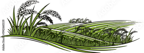 Stylized illustration of green rice paddies with stalks in foreground