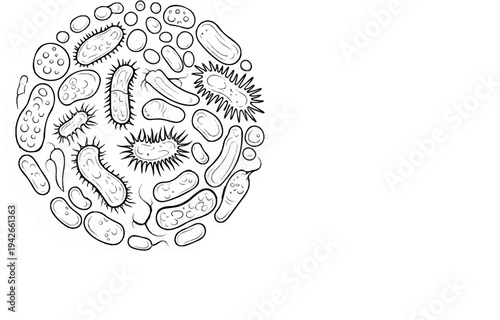 Diverse microscopic organisms drawn in a circular cluster