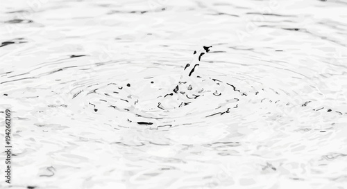 Ripples spread outward from a dark splash in the center of the water's surface