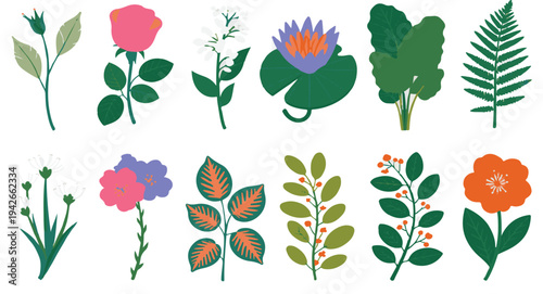 Collection of colorful cartoon flowers and leaves on white background for design