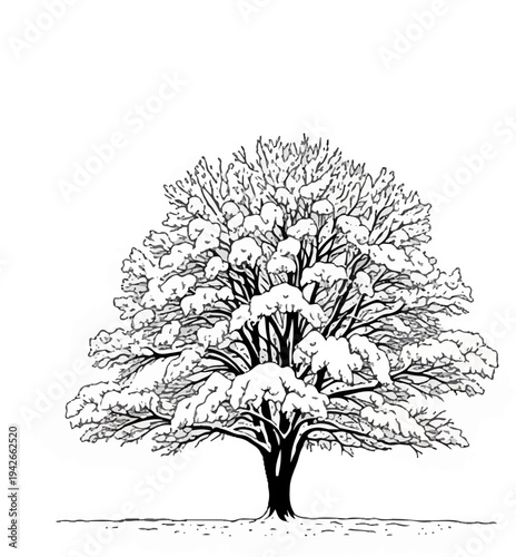 Stylized black and white illustration of a deciduous tree covered in snow