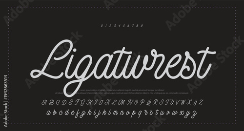 Script Brush Font Type Font lettering handwritten 
