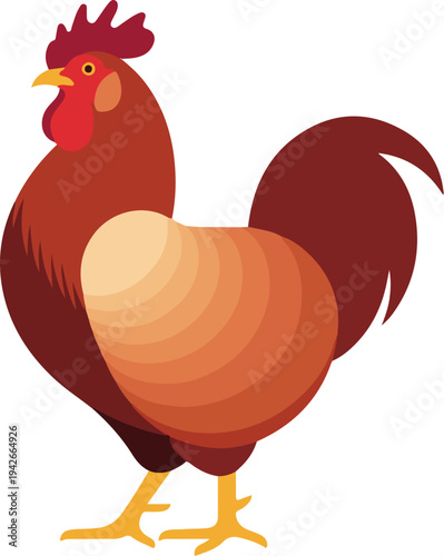Cartoon rooster standing on white background with yellow beak and feet
