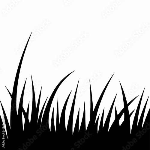 A close-up view of tall, slender grass blades against a white background Vector
