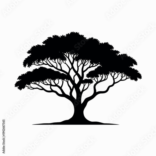 A majestic tree with a wide canopy and intricate branches standing tall. Vector