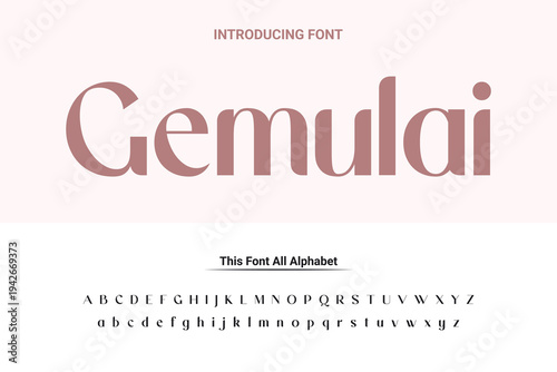 Luxury lowercase display font typeface to make your brand looks premium. Vector Fonts. Alphabet of sans serif font with modern typography. bold and tall vector font.