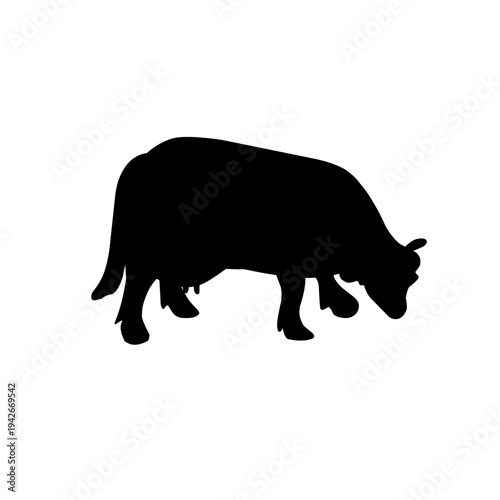 Silhouette of a cow 