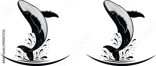 Black and white minimalist humpback whale breaching out of water waves jumping artistic ocean animal wildlife nature nautical vector illustration.