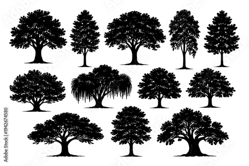 Variety of silhouette tree illustrations on white background.
