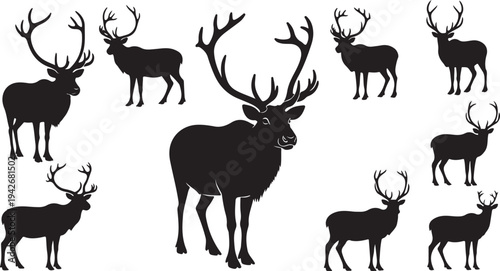 Silhouette of multiple deer with antlers on white background