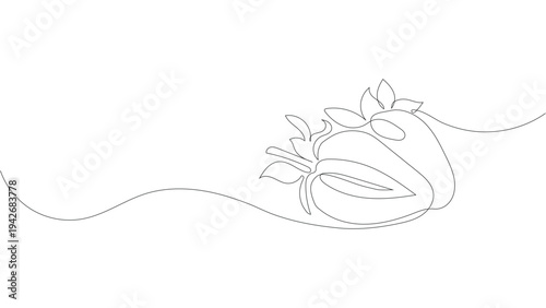 Minimalist Continuous Single Line Art Illustration of Fresh Strawberries with Leaves, Editable stroke