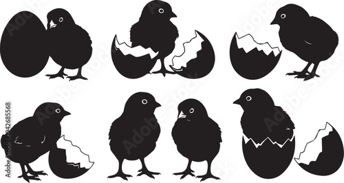Silhouette of chickens hatching from eggs in various stages