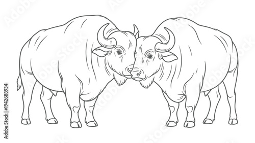 Bullock Illustration: Two powerful bullocks, their forms etched in bold, graphic lines, stand in a display of strength and unity.