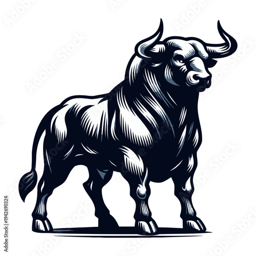 Bull vector and illustration.