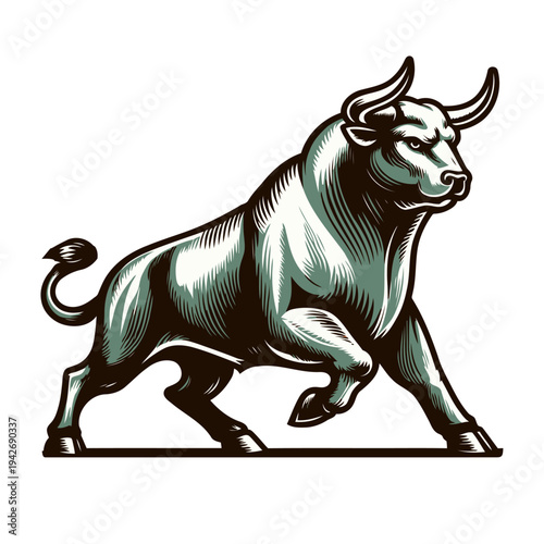 Bull vector and illustration.