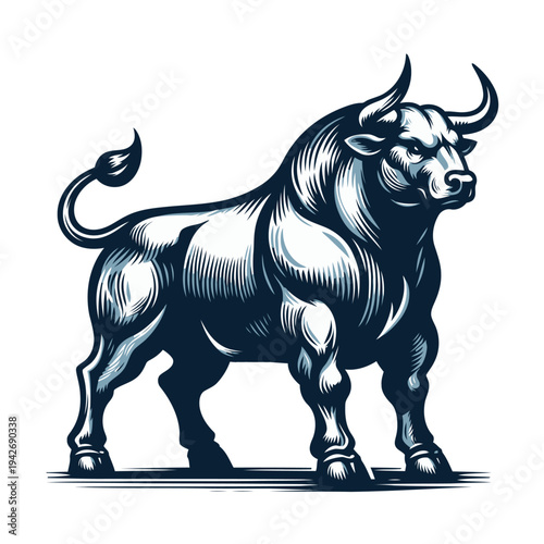 Bull vector and illustration.