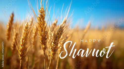 Happy shavuot inscription overlaying ripe golden wheat field creating a celebratory banner, symbolizing agricultural festival, harvest, and the giving of the torah to the jewish people