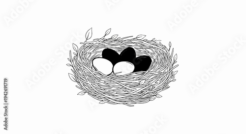 A detailed sketch of a bird's nest with four eggs, two dark and two light