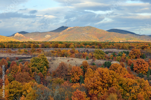 Mountain landscape golden autumn forest