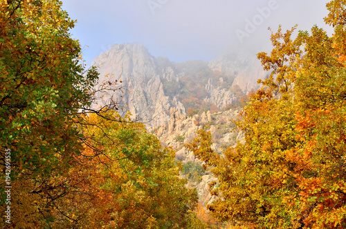 Mountain landscape golden autumn forest