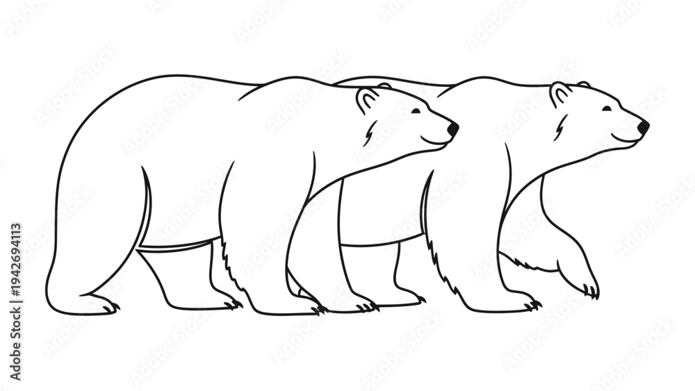 Fototapeta premium Polar Bears Outlines: A serene illustration shows two polar bears, emphasizing their majestic forms in a simplified graphic style.