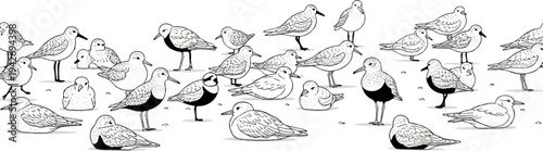 A flock of shorebirds gather on a sandy beach, rendered in simple black and white