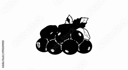 A simple black and white illustration of a cluster of dark berries