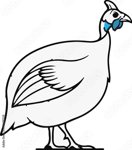A simple illustration of a white guinea fowl with blue accents on its neck