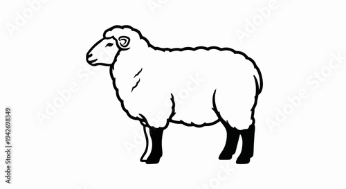 A black and white illustration of a woolly sheep standing in profile