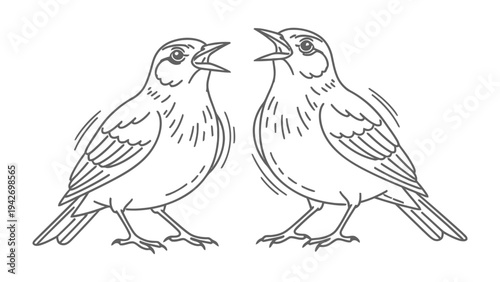 Harmony in Duet: Two songbirds share a sweet moment with chirping, their melodies filling the air in a display of joyful camaraderie.