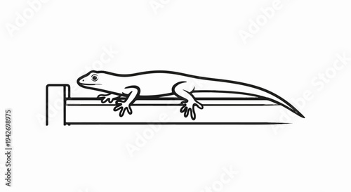 A black and white line drawing of a gecko resting on a horizontal bar