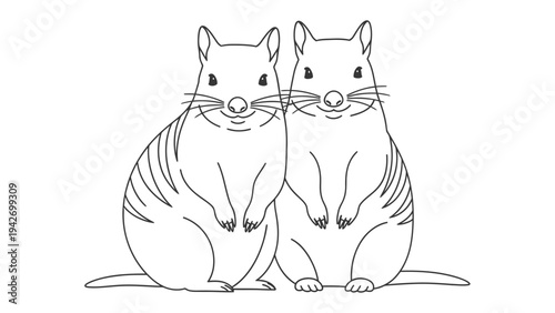 Numbat Duo: A charming duo of numbat illustrated in monochromatic strokes. Showcasing the unique striped coat, the pair stands side-by-side, offering a glimpse into the charm of Australian wildlife.